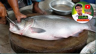 Download lagu 🔴Uzzal Fish Cutting Live Now!!All Fish Cutting Skills🐠 🔪🔪🐠#short #shortfeed #2ufc#fish#vairal. mp3