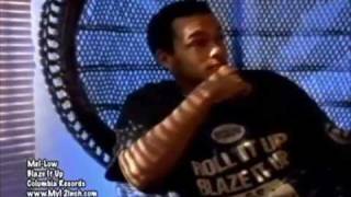 Mel-Low feat. Redman - Blaze It Up