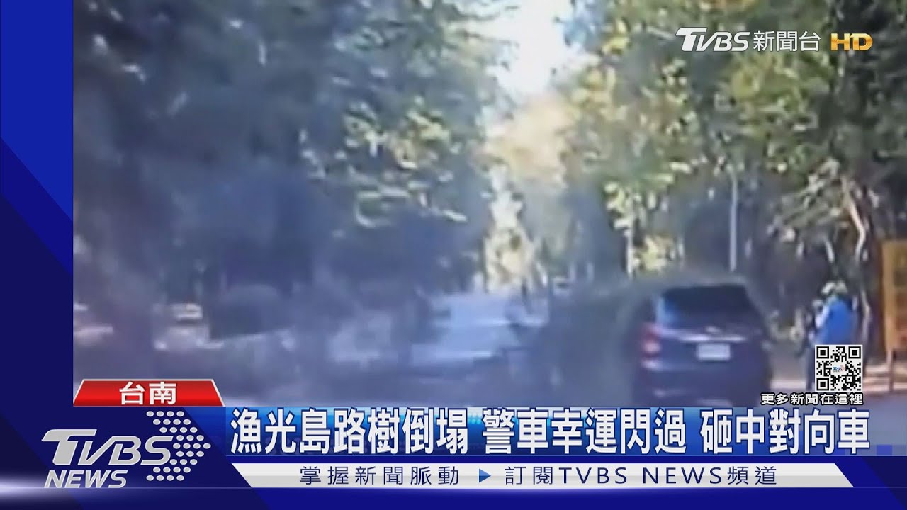 漁光島路樹無預警倒塌 警車快一秒通過 砸中對向小客車