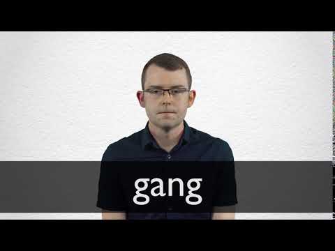 gang  Tradução de gang no Dicionário Infopédia de Inglês - Português