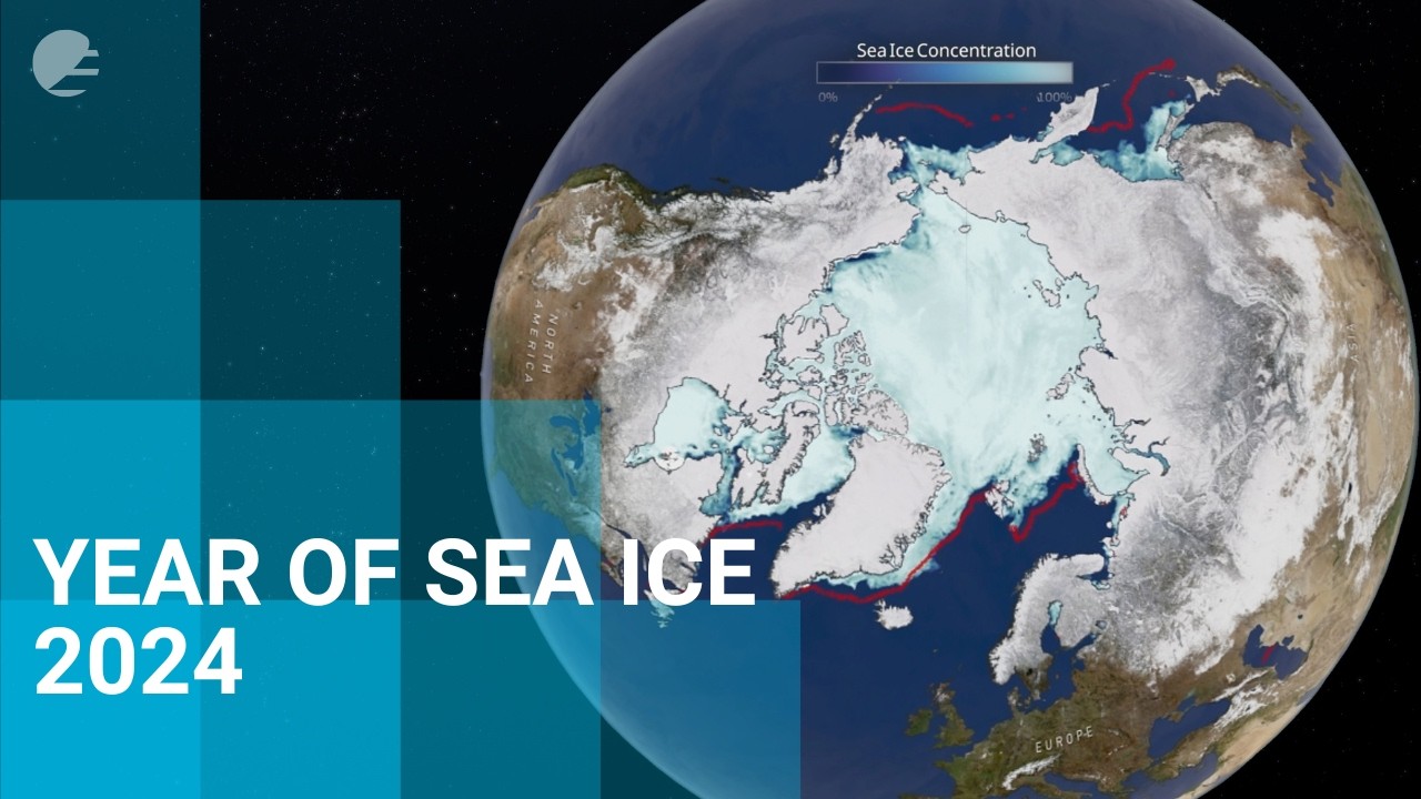 A year of sea ice - 2024