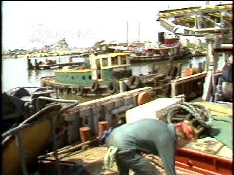 WAVY Archive: 1981 Jacque Costeau Calypso