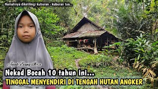 Download lagu INILAH DEK SITI GADIS KECIL PEMBERANI YG TINGGAL MENYENDIRI DI TENGAH HUTAN ANGKER... mp3