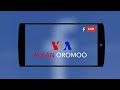 Oduu Voa Afaan Oromoo