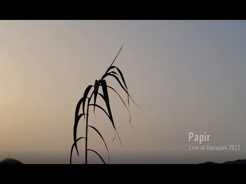 Papir live at Dunajam 2022