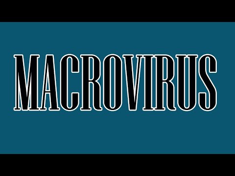 MACROVIRUS MEANING?||