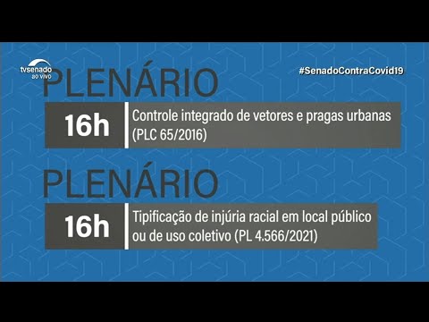 Injúria racial: Senado pode votar proposta que tipifica crime