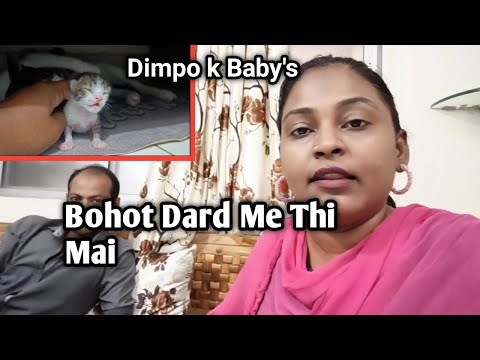 Q Inhone Bina Bataye Kiye Aisa | Meri Cat k 3 New Different Baby's
