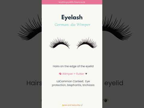 Eyelash | die Wimper 📖✨Learn German with Me: Medical Vocabulary for Healthcare Warriors