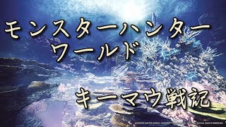 【モンハンワールド】キーマウで始めてみる　1日目