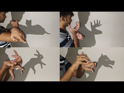Hand Shadow Performance | Shadow Animals