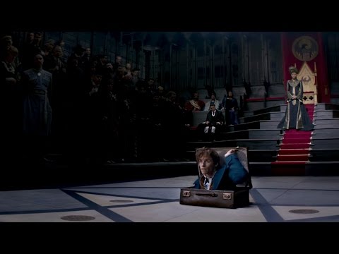 映画『ファンタスティック・ビーストと魔法使いの旅』本予告【HD】2016年11月23日公開