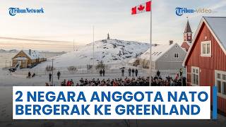 Kanada & Prancis Bergerak Menuju Greenland saat Hubungan dengan AS Retak, Mulai Mendirikan Konsulat