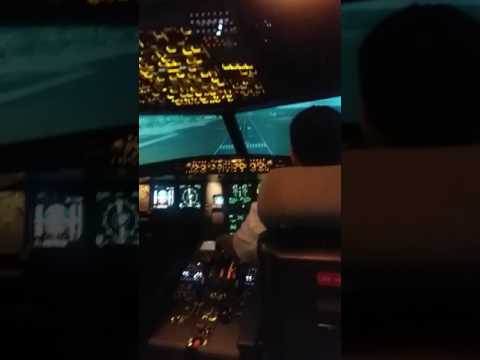 A320 Level D Sim Landing 2