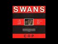 Swans - Why Hide
