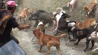 Download lagu LATEST !!! LATEST BEST HUNTING VIDEOS OF 2025 || BEST HUNTING VIDEOS OF THE YEAR END || BEST MOMENTS mp3