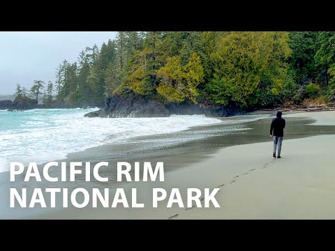 Peaceful Walk Through Primal Forests & beaches of Pacific Rim National Park, Vancouver Island BC