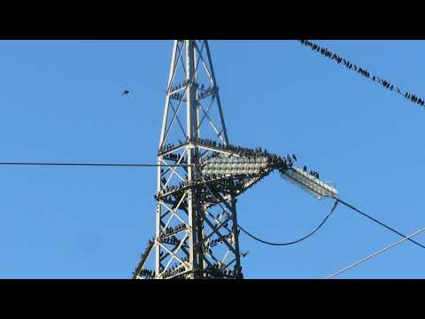 Storni su traliccio dell'alta tensione