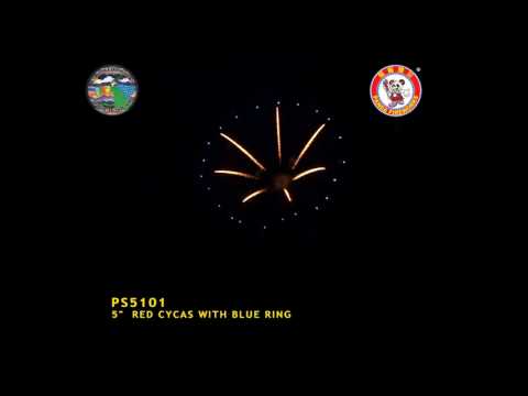 SS125PA03 - 5 INCH SHELL - WIZARD FIREWORKS - PS5101