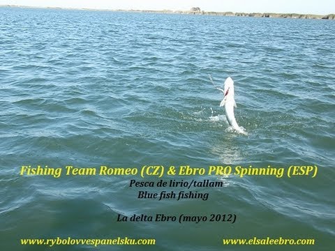Lov bluefish na trolling v deltě řeky Ebro 1.díl