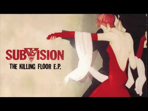 Subvision: Love is a Fire - Guitar Cover