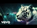 DJZetrin Tyger Official Music Video