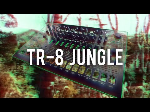 Roland TR-8 Jungle - use the Scatter