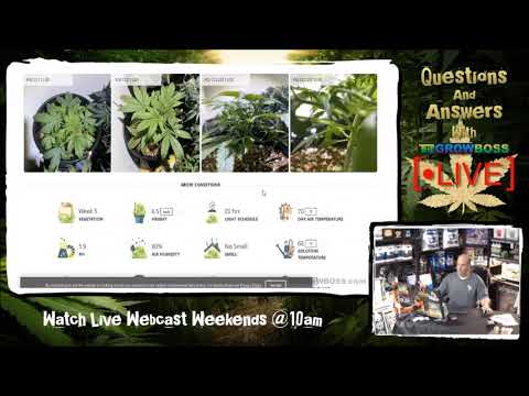 Grow Diaries- E#1 follow along while we review gardens