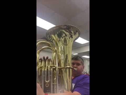 The Bonsai Tree By: Julie Giroux