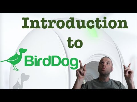 Birddog Net Worth