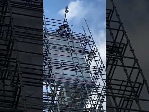 It's a bit tall, but they still work hard for their family and work.