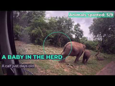 Bannerghatta Safari WILD Highlights Tiger, Lioness, Bears &amp; More | Bangalore 2026