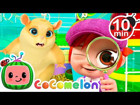 Our Lost Hamster Song | CoComelon 🍉 | Nursery Rhymes For Kids