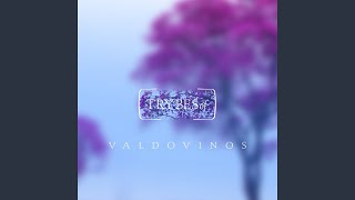Valdovinos - Good Times video