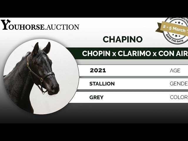 Chapino
