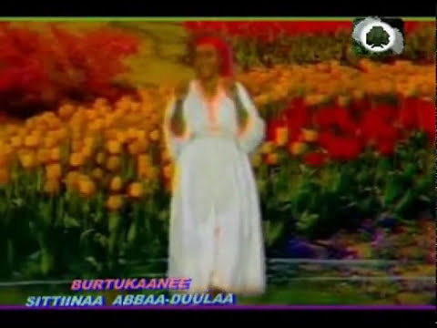 SITTINA || BURTUKANE* BEST JIMMA OLD SONG