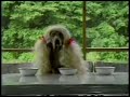 Sesame Street Fay Ray Goldilocks The Three Bears 1994