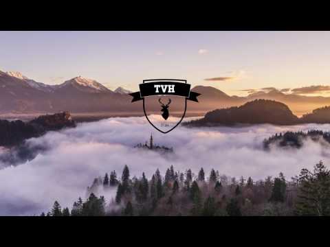 Gimme Shelter Rolling Stones -  Illy M Phazes Friday Flips