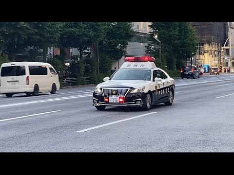 Tokyo MPD patrolling with lights only/ ライトを点灯してパトロールする警視庁パトカー