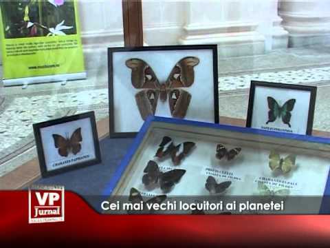 Cei mai vechi locuitori ai planetei