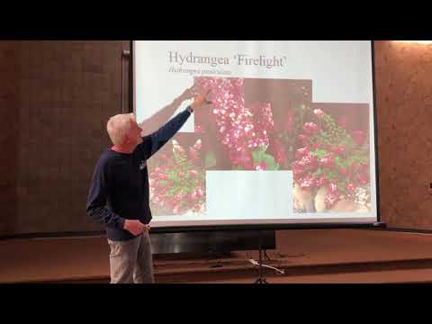 Wednesday's With Wayne- Latin vs Common Plant Names