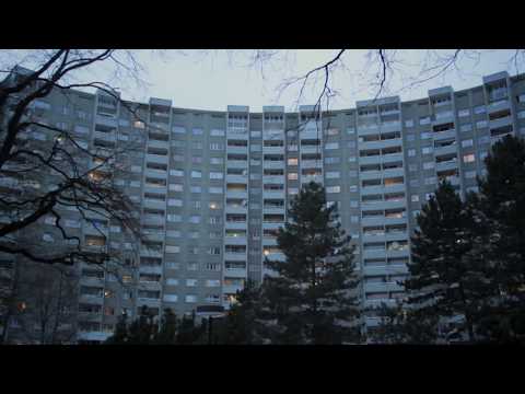 GOHDAR feat HACO - JIYANEKE SAR