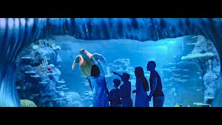 Sydney | SEA LIFE Sydney Aquarium | Immersive Walking Tour of SEA LIFE Sydney Aquarium