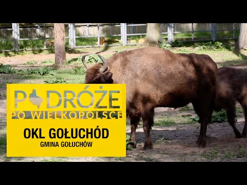 Ośrodek Kultury Leśnej w Gołuchowie - gmina Gołuchów