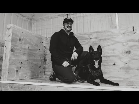 Yhorm de Lupus Saevus - 2/2023