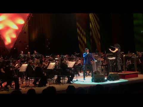 DANIEL DANN | Mistify (INXS) feat. Macedonian Orchestra (VASILICARSKI 2ND)
