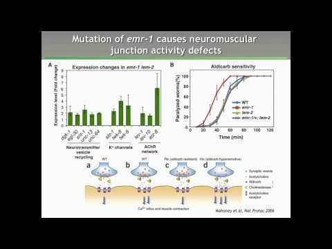 P Askjaer: a novel FLP/Frt-based toolkit for spatiotemporal control of gene expression.