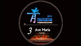 2014TYFC - Ave Maria(Franz Biebl)