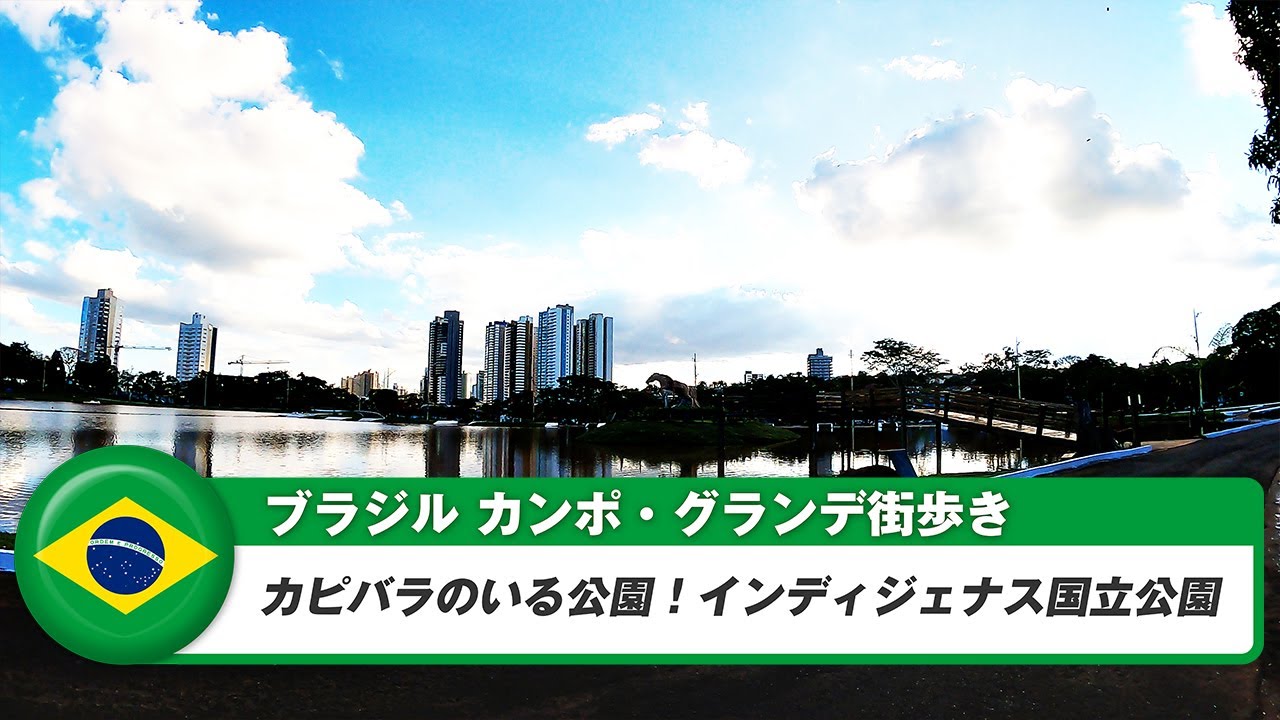 【ブラジル】カンポグランデ④インディジェナス国立公園