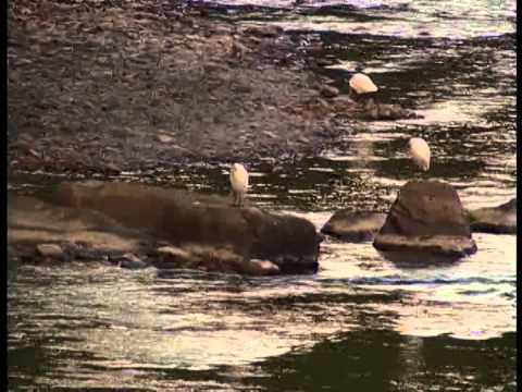 自然の名のもとに。一日林務に携わる人は一生林務に携わる